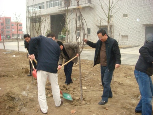 武進(jìn)項(xiàng)目公司開(kāi)展植樹(shù)活動(dòng)