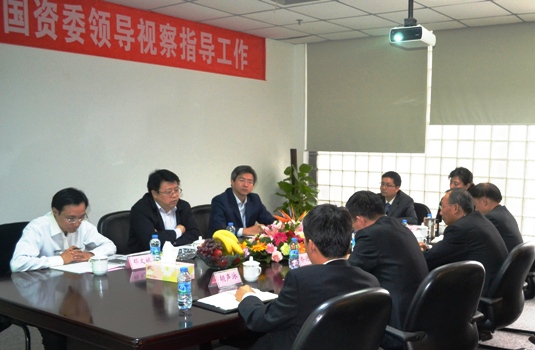 北京市國資委、國資公司領(lǐng)導到綠色動力視察指導工作